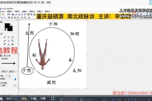 辛圣明 五运六气 南北政脉诊 伤寒论钳法（线上直播实战班）