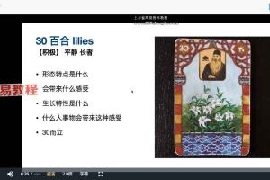 李奶奶实用雷诺曼课程视频47集 百度云下载！