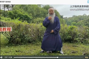 长安师智-太极拳如何气沉丹田16课时视频 百度云下载！