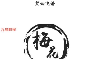 贺云飞 -《易象雕龙》.pdf 366页 百度云下载！