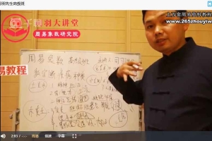 司羽先生数字高级班课程视频336集 百度云下载！