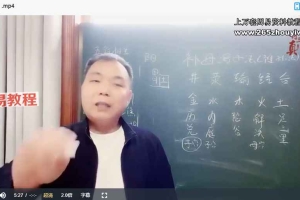 华信紫丹—付氏三绝针精品课视频5集 百度云下载！