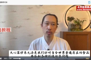 徐法昇 小壶天内景四象筑基 14集视频 百度云下载！