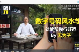 无为子【手机号码风水学】视频144集 百度云下载！