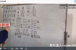 《青衫道人梅花易数》课程视频17集 百度云下载！