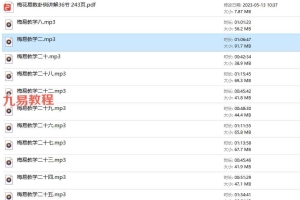 张泽华梅花易数面授录音36集+讲义pdf 百度云下载！