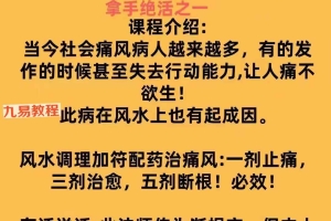 易旺.痛风的风水及化解pdf 百度云下载！