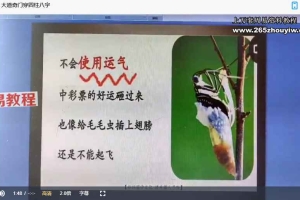 坦成《奇门遁甲预测运筹学》23集视频 百度云下载！