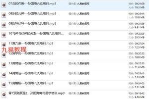 孙国海中高级梅花六爻培训等课程录音 百度云下载！