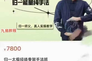 归一太极经络骨架手法班课程视频4集 百度云下载！
