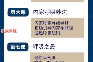 姜书洋-内功真诠课程视频12集 百度云下载！
