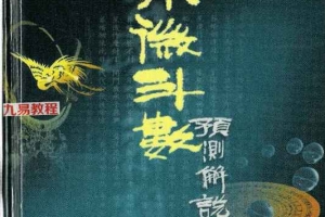 赵利华-紫微斗数预测解说.pdf 215页 百度云免费下载！