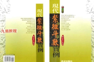 钟直霖：现代紫微斗数实例.pdf 265页 百度云下载！