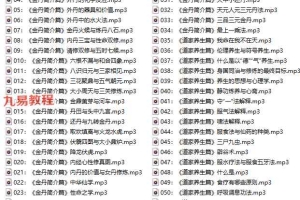 应妙子杨信玄 金丹大道课程90集录音 百度云下载！