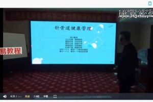 王国华针灸刺血艾灸精品课程83节视频课程 百度云下载！