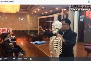 李哲老师触诊面授班视频28集 百度云下载！