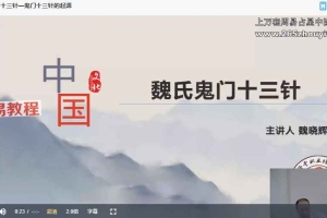 魏氏鬼门十三针第三期视频29集 百度云下载！