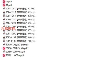 沙漠绿洲-串宫压运16集录音+笔记pdf 百度云下载！