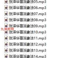 张泽华盲派命理象法17集录音 百度云下载！
