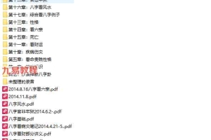 沙漠绿洲癸巳年八字录音和讲义2013.6-2014 百度云下载！