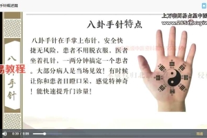 杨思琨八卦手针系列网课视频25集 百度云下载！