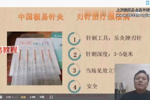 刘朝龙极易针灸视频课程10集 百度云下载！