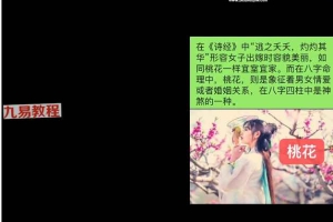 鹿早-盲派命理(绝密秘术，不可外传) 视频11集 百度云下载！