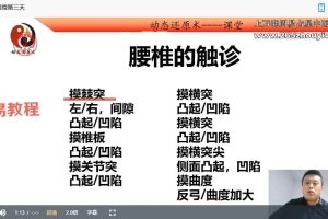 邱磊动态还原术网络面授2023年新课视频3大集 百度云下载！