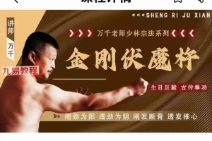 金刚伏魔杵视频10集 百度云下载！