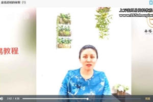 30天显化丰盛课程视频17集+录音6节 百度云下载！