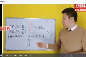 杨老师60甲子单柱解读视频2集 百度云下载！