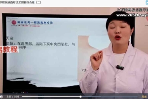 程冰雪岭南程派放血疗法（专业课）视频64集 百度云下载！