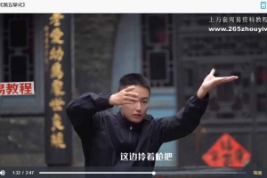 法源 《八卦掌先天筑基功》精品教学课程21节视频 百度云下载！