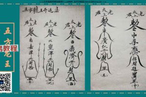 青远 五帝龙王法视频11集+资料pdf 百度云下载！
