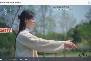 峨眉临济白云宗云镜老师的峨眉十八法20集进阶课视频 百度云下载！