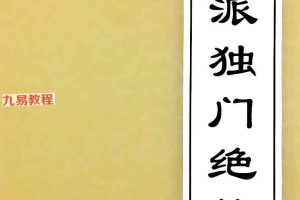 文曾内部文档 盲派独门绝技pdf 417页 百度云下载！