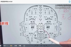 陈春林 杨淑滟九纬洪运｜梅花神相断陪跑班视频20集 百度云下载！