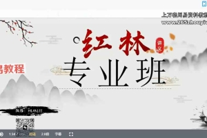 红林八字专业班视频37集 百度云下载！