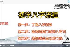 黎宏阳《四柱八字大师班》65集视频 百度云下载！