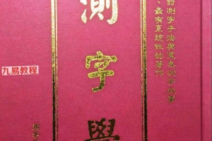 测字师六愚著《测字学》pdf 1095p 台版 百度云下载！