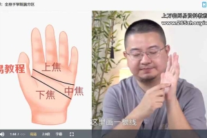 陈星  全息手诊学通讲 视频+资料pdf 百度云下载！
