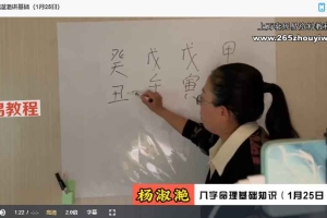 陈春林九纬洪运｜八字命理陪跑训练营视频19集 百度云下载！