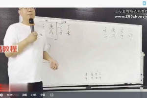崔文举催老师甲辰年八字面授视频8集 百度云下载！
