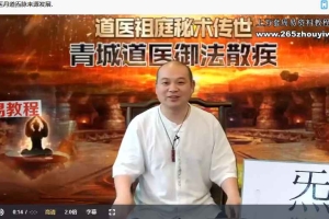 郭东滔 道医炁脉疗法高级班视频127集 百度云下载！