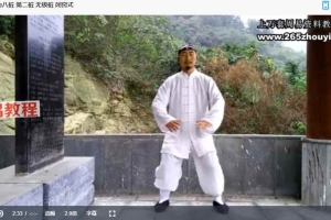 许微含道长八套功法课程视频合集 百度云下载！