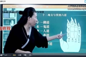 张敬平一掌经12集视频 百度云下载！