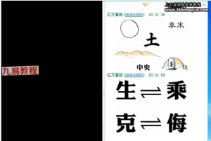 易言易学梅花外应合集 易理梅花占卜+外应预测合集视频17集 百度云下载！