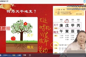 何咏慧-四柱八字算法实战课 全60讲视频 百度云下载！