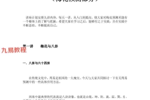 癸水酉金《教你学梅花预测》+梅花风水预测 2册电子版 百度云下载！