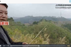 中郡文化 易学风水初级课程视频21集 百度云下载！